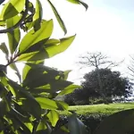 Cueto Mazuga I