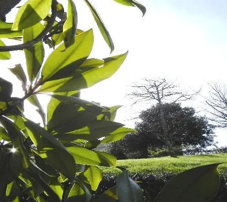 库图玛苏伽第1号公寓酒店